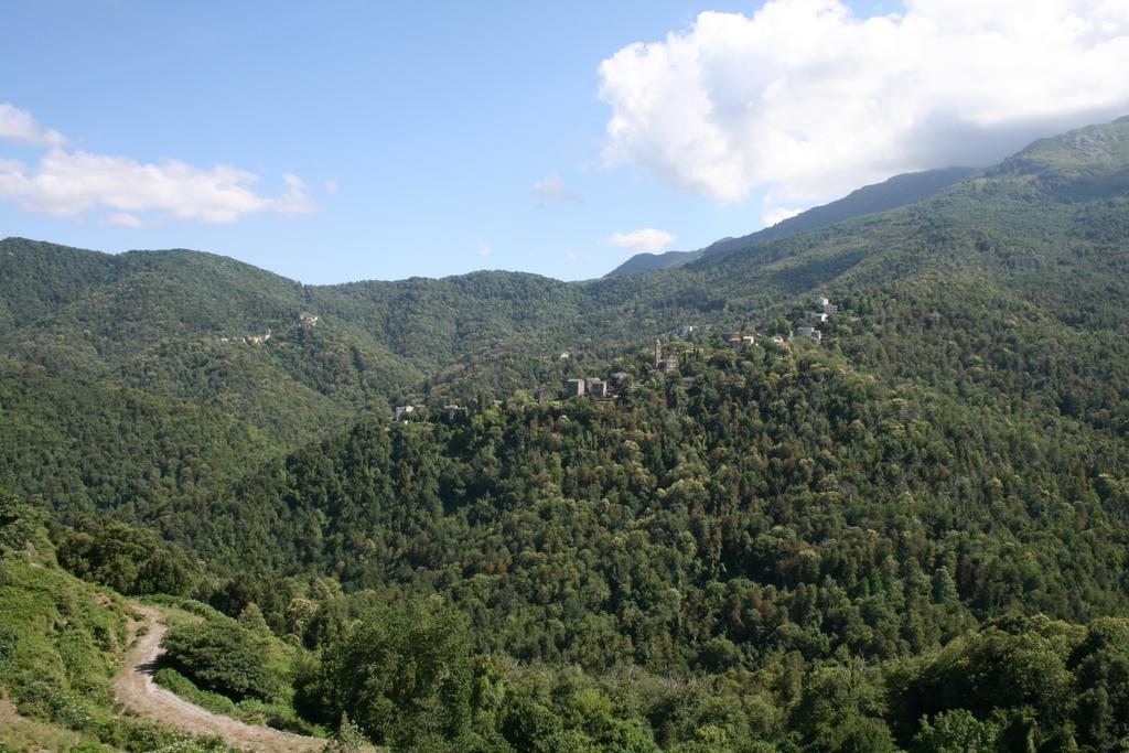 Le Refuge Orezza Piedicroce  Habitación foto